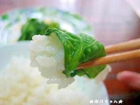 びっくり!?野沢菜漬けみたいな菜の花漬け